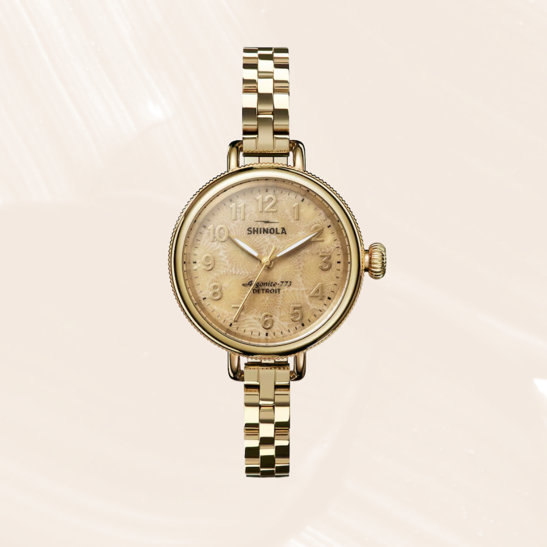 Shinola The Petoskey Birdy 34mm