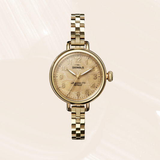Shinola The Petoskey Birdy 34mm