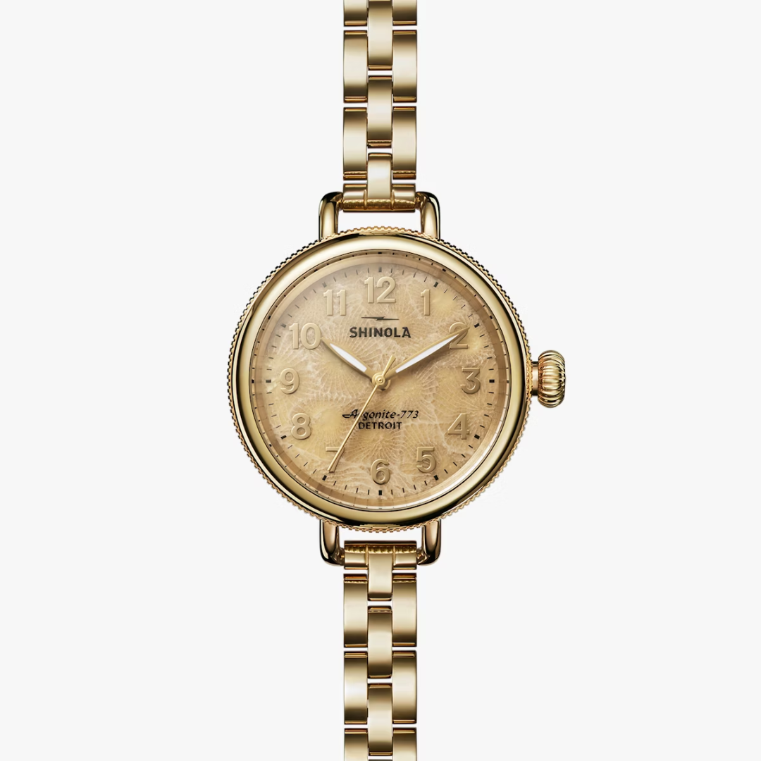 Shinola The Petoskey Birdy 34mm