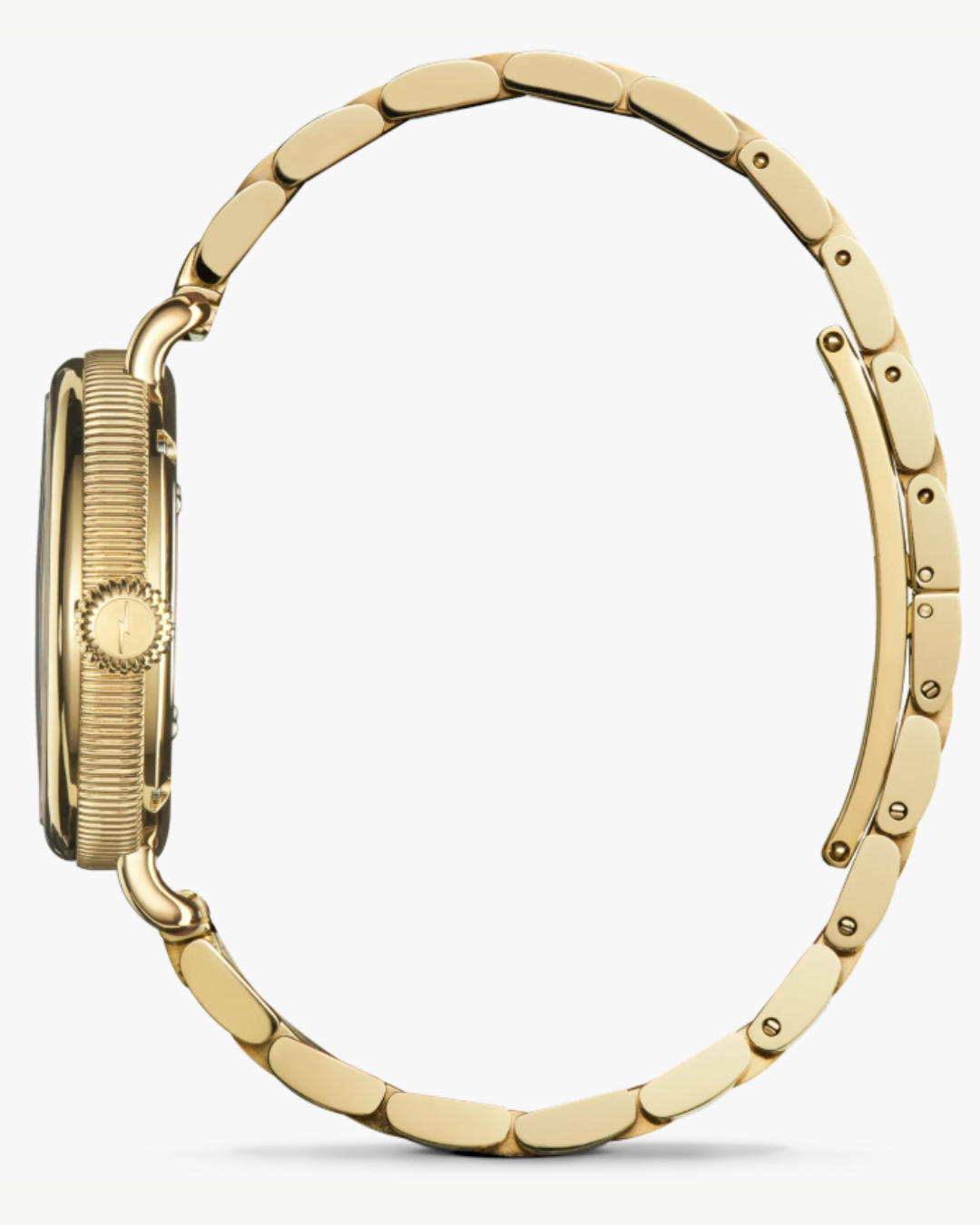 Shinola Birdy Watch Gift Set