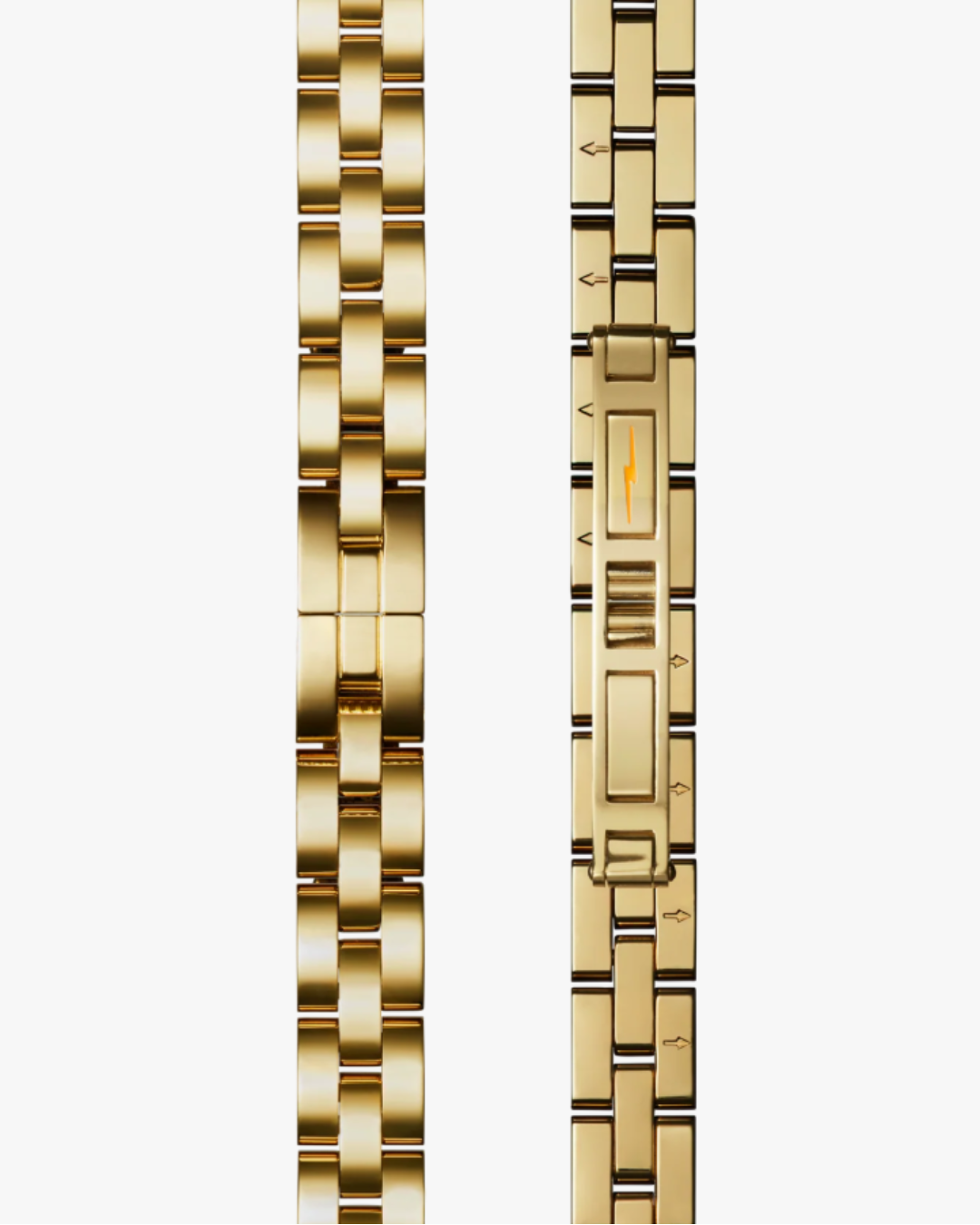 Shinola Birdy Watch Gift Set